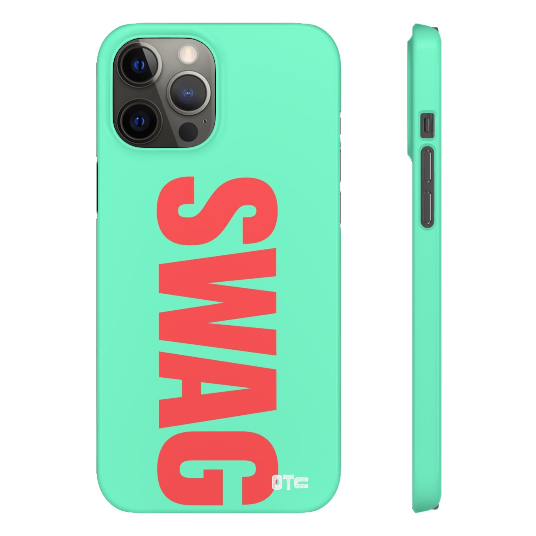 Teal Swag Case