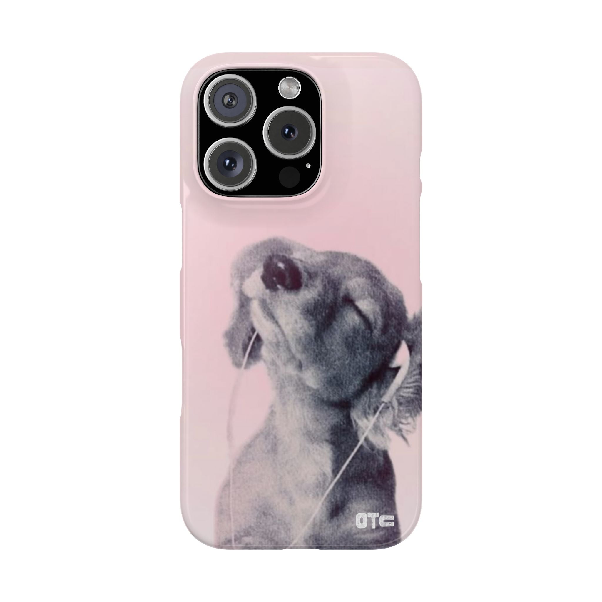 Music Lover Case