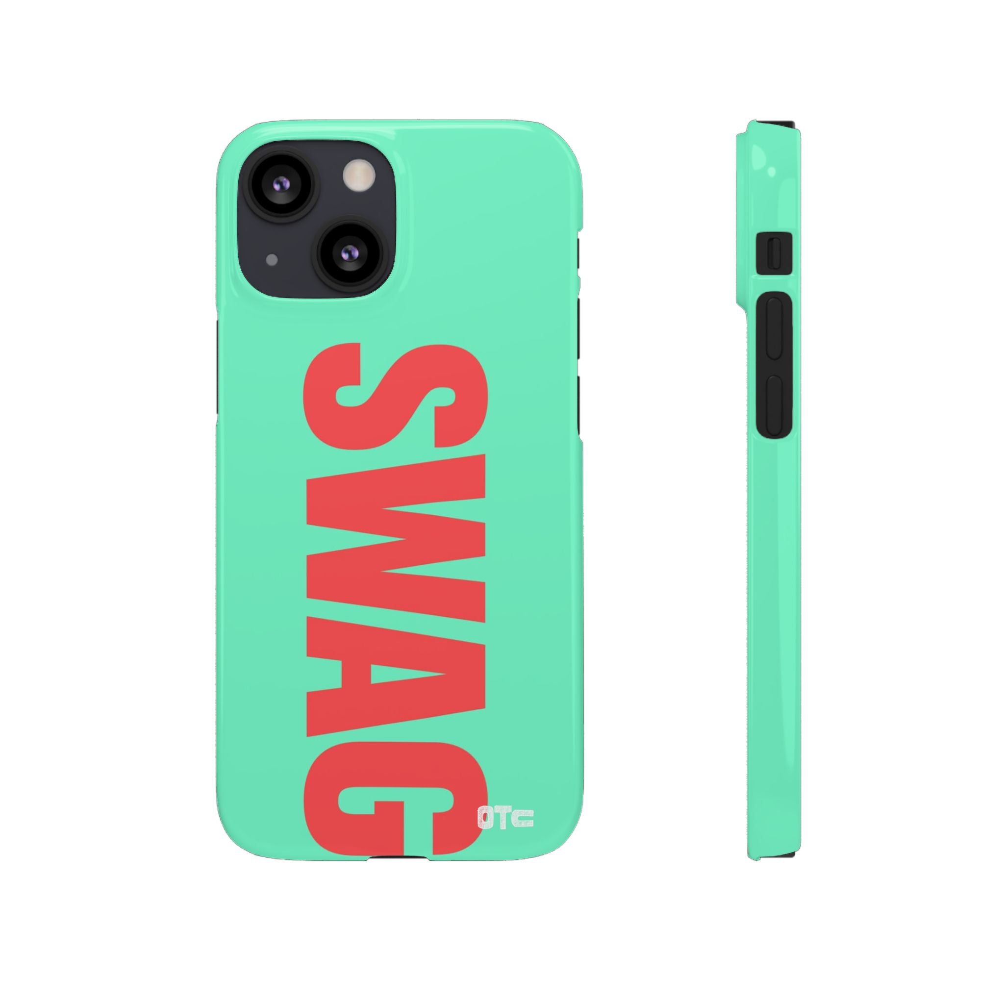 Teal Swag Case