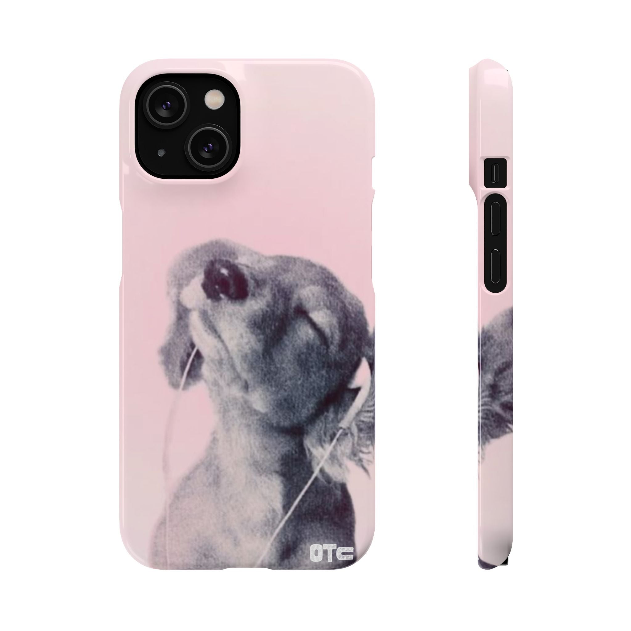 Music Lover Case