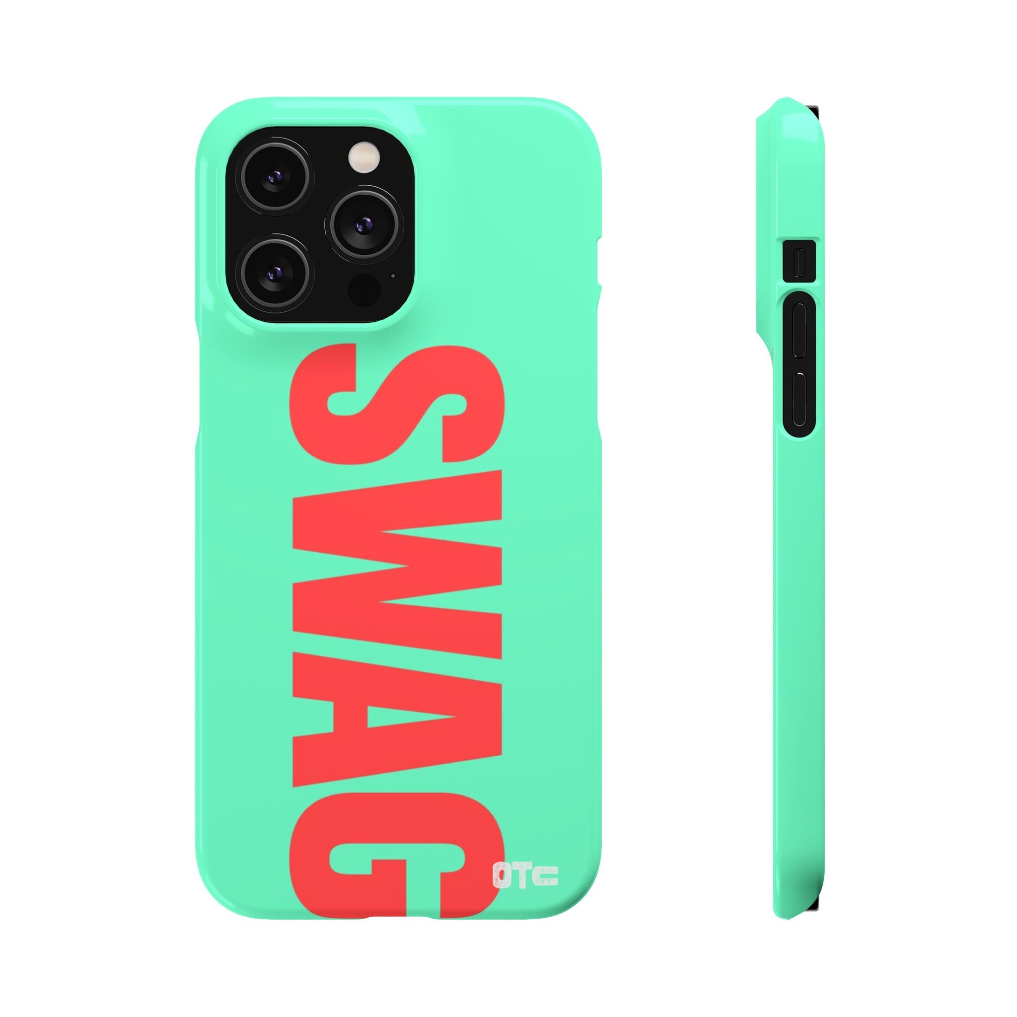 Teal Swag Case
