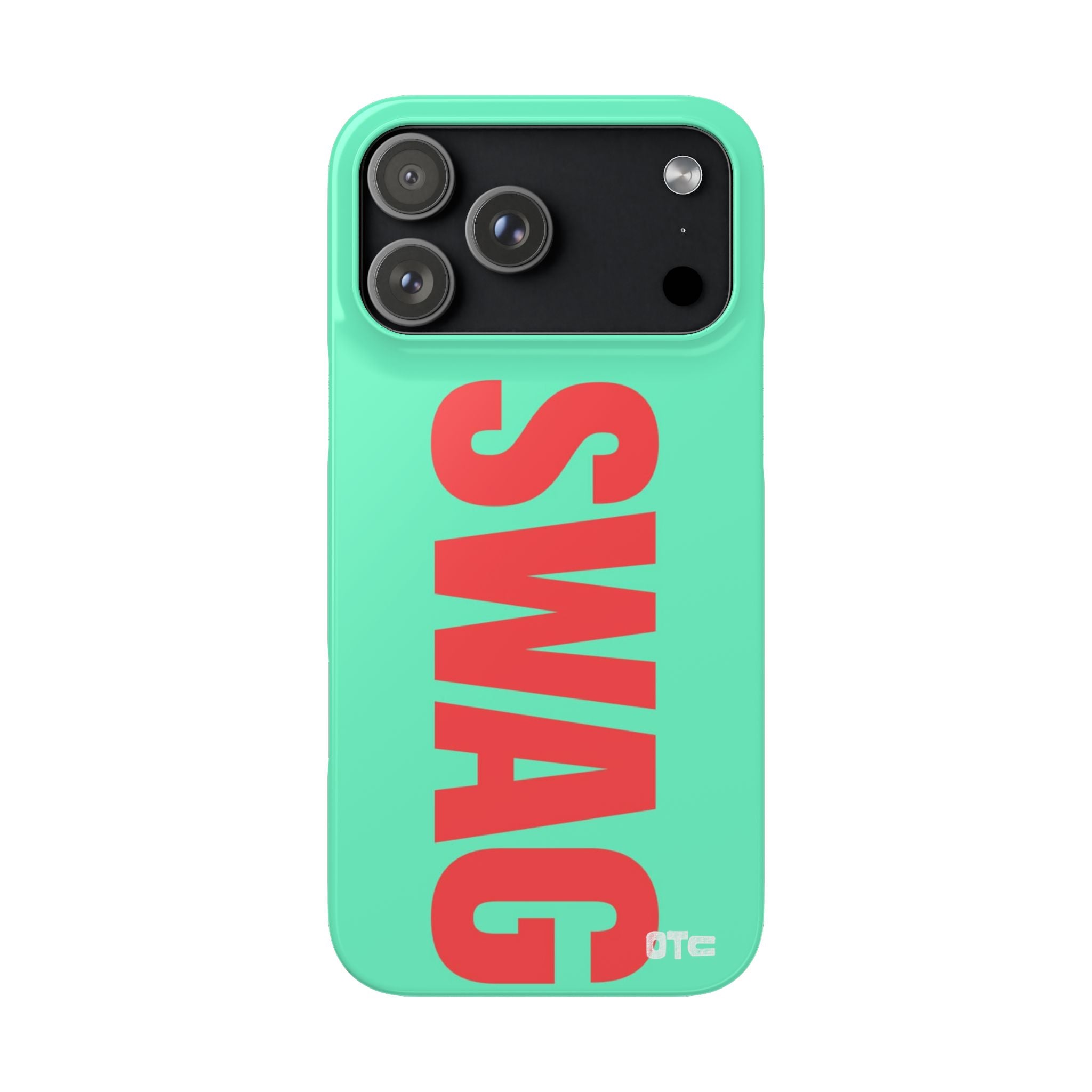 Teal Swag Case