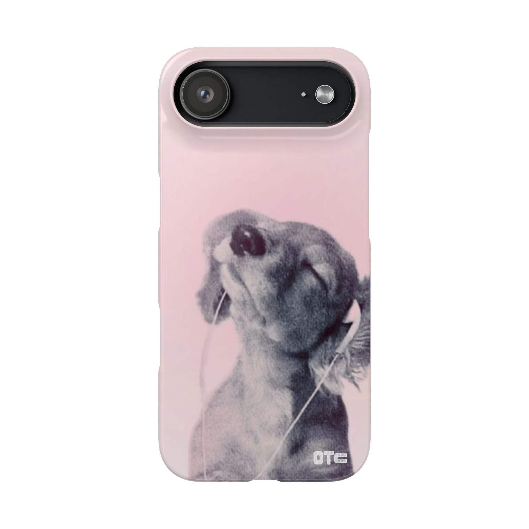 Music Lover Case