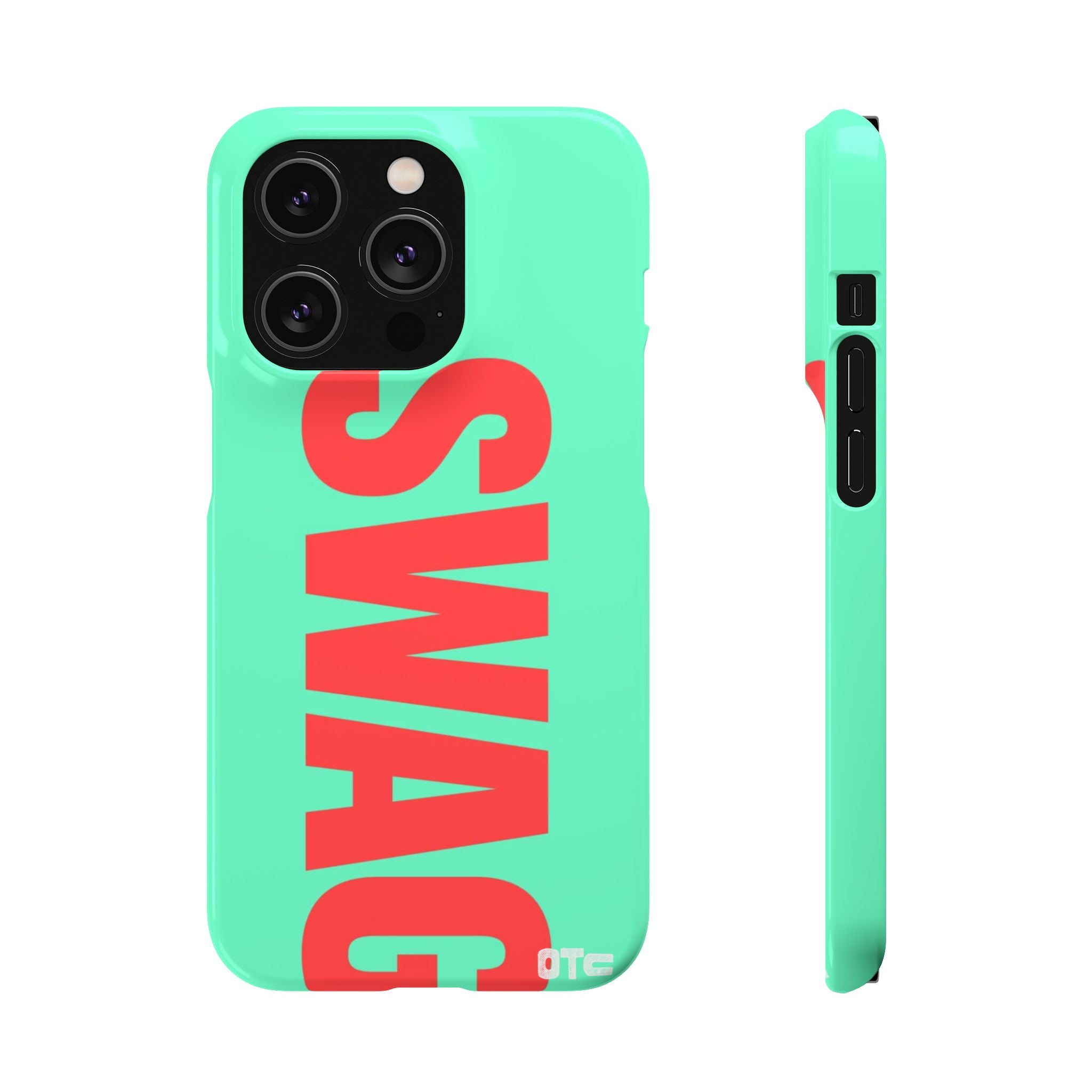 Teal Swag Case