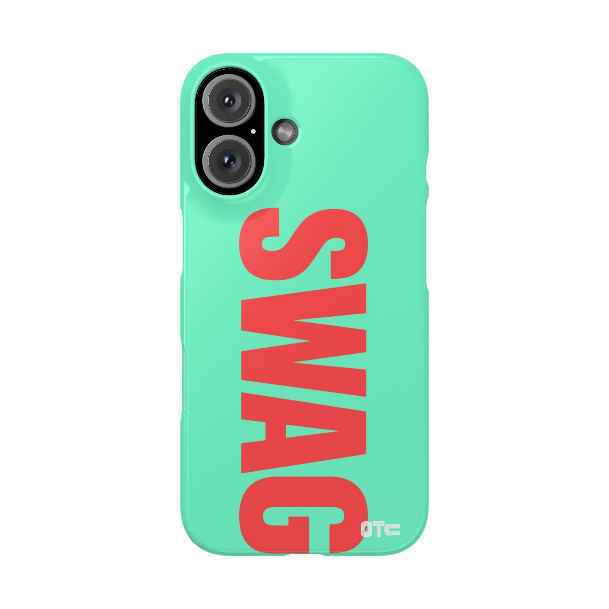 Teal Swag Case