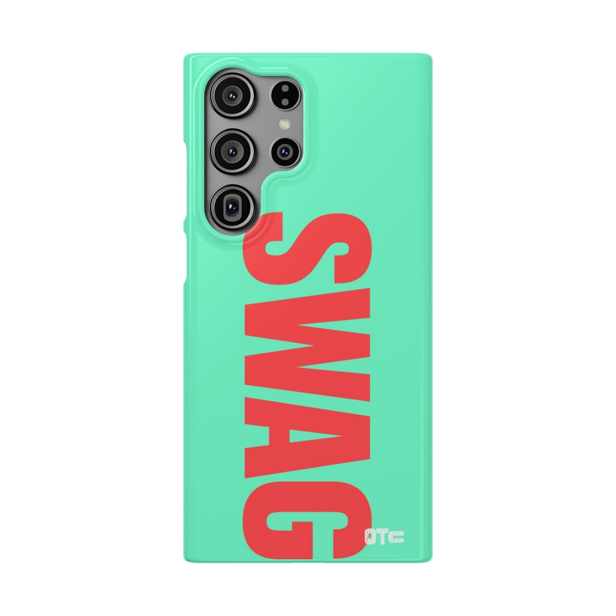 Teal Swag Case