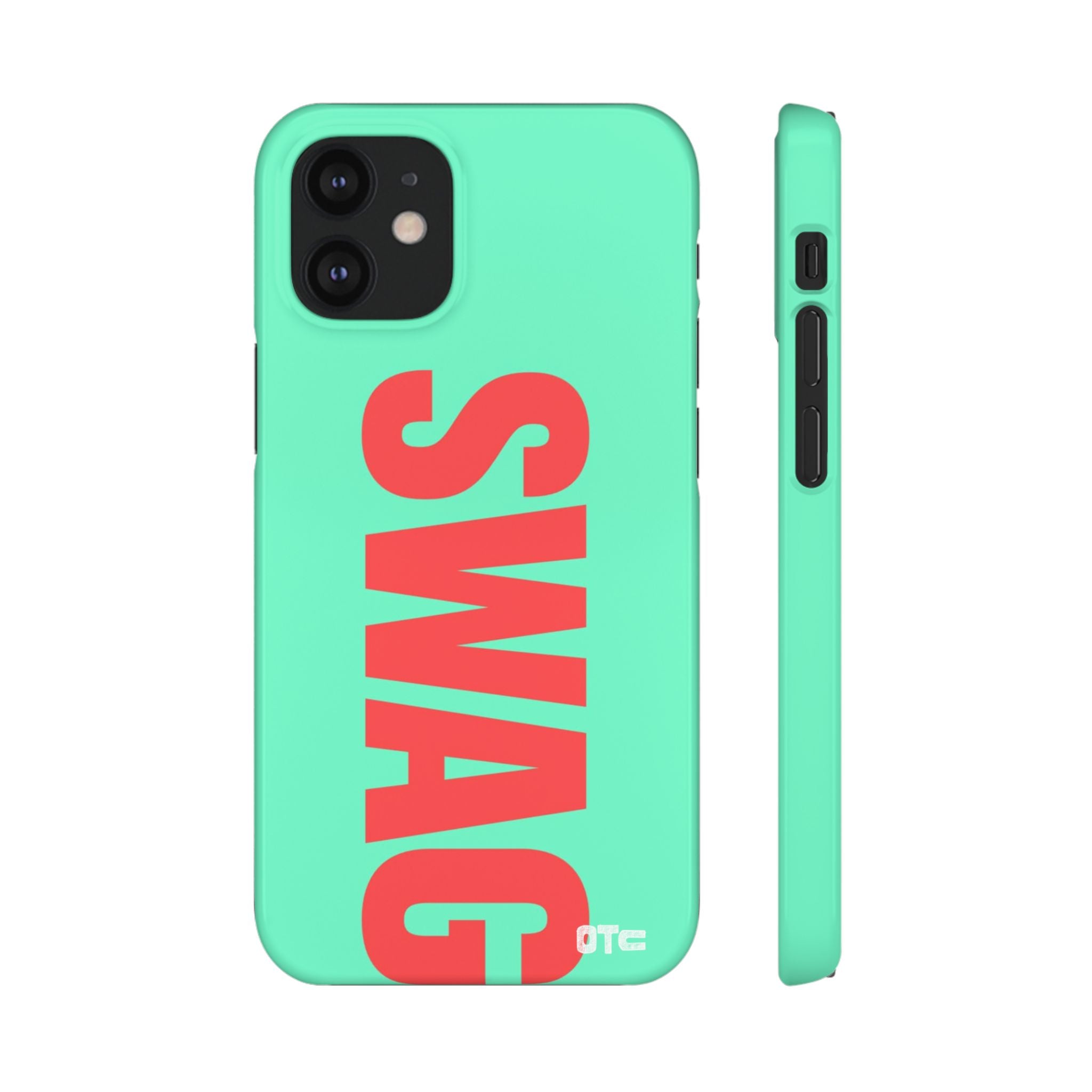Teal Swag Case