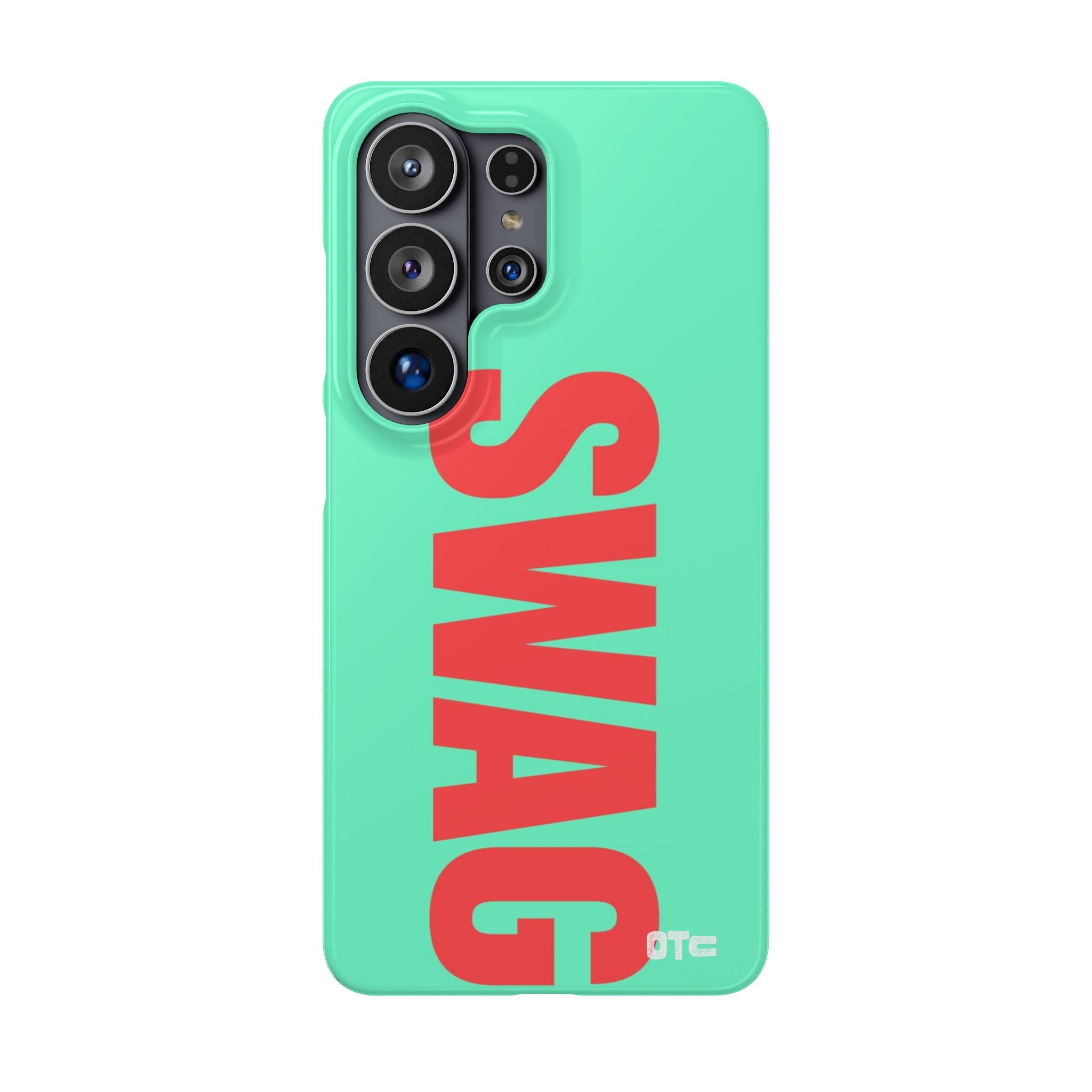 Teal Swag Case