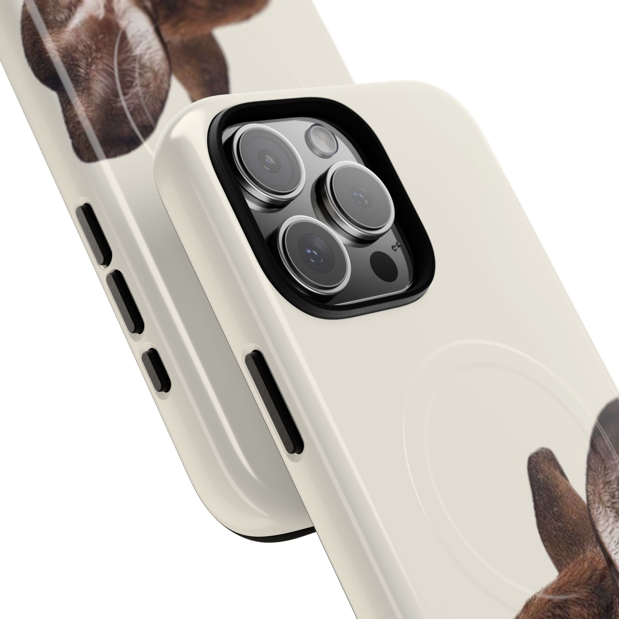 Bambi MagSafe Case