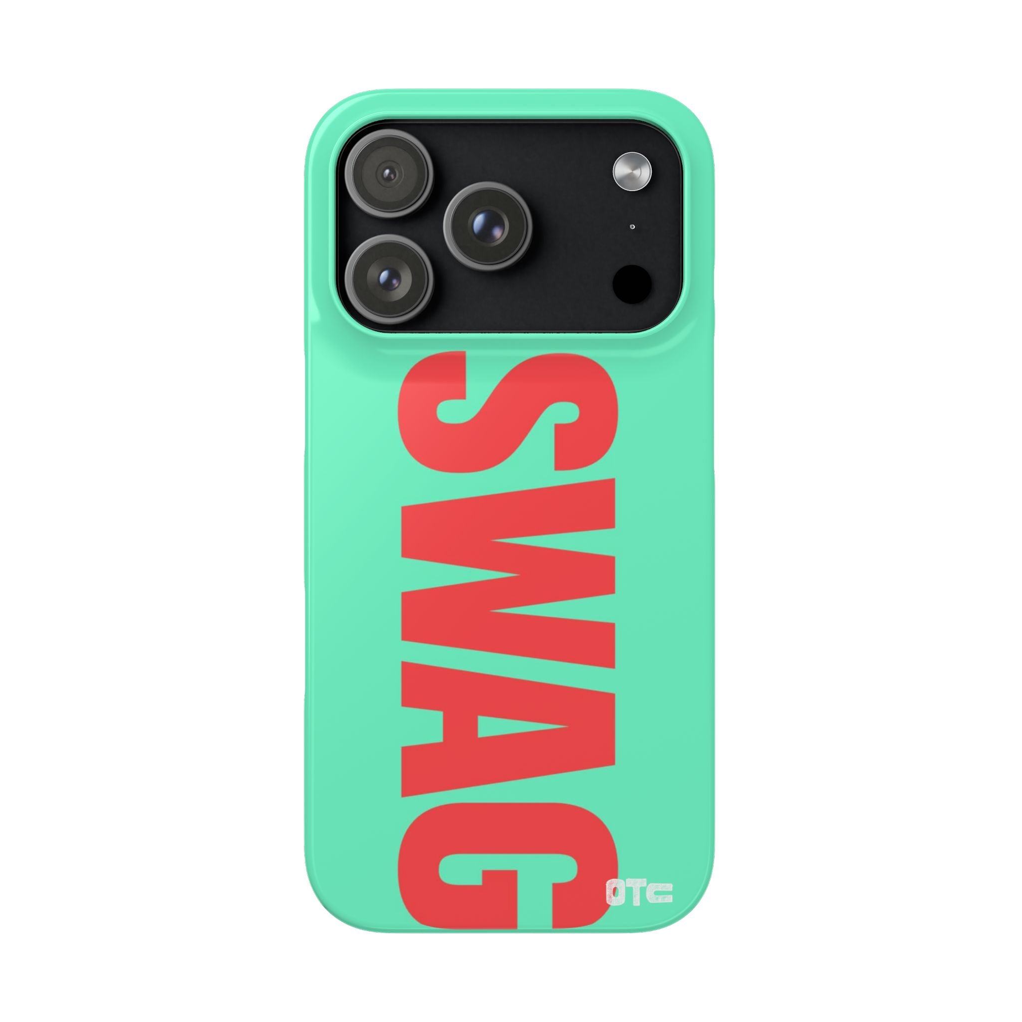 Teal Swag Case