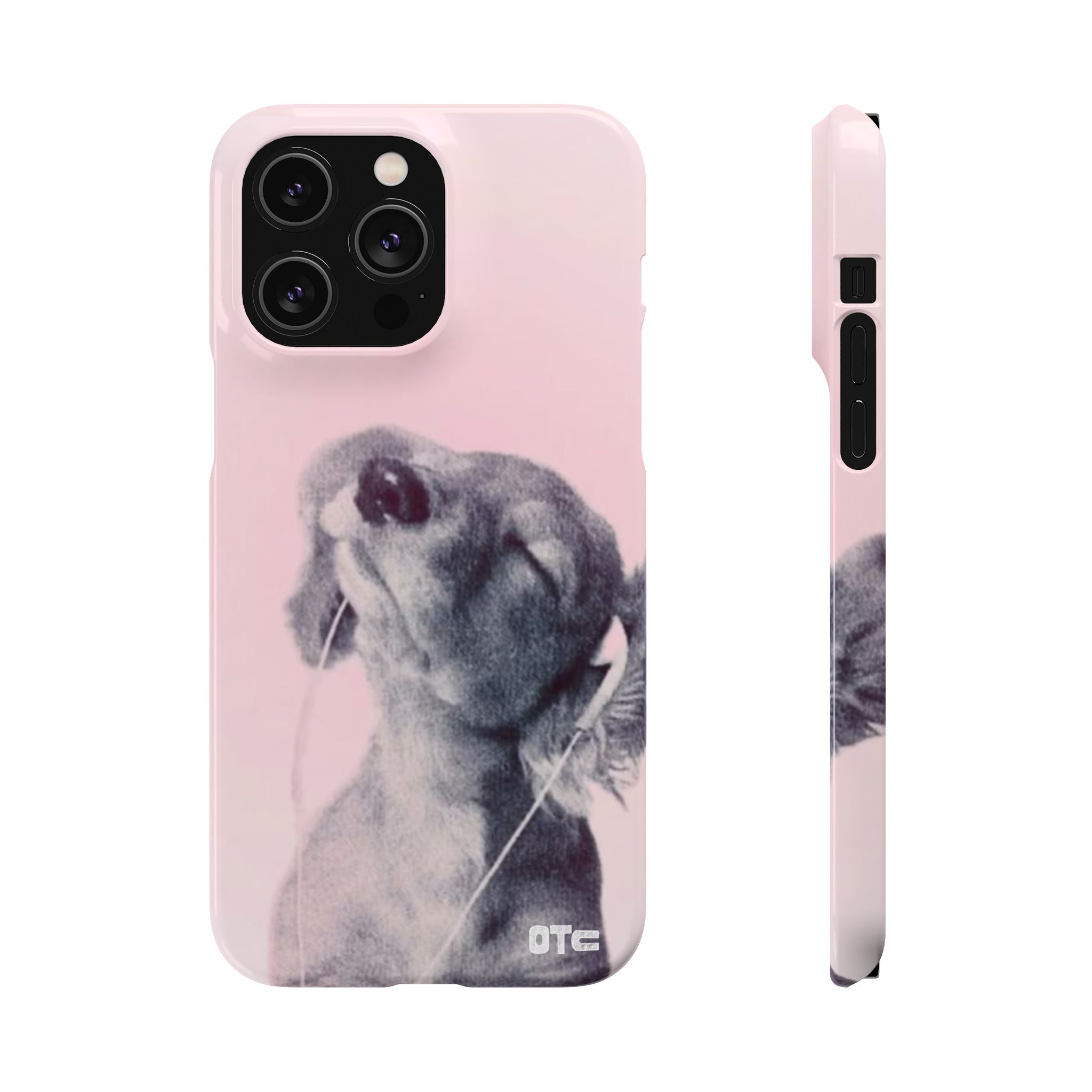 Music Lover Case