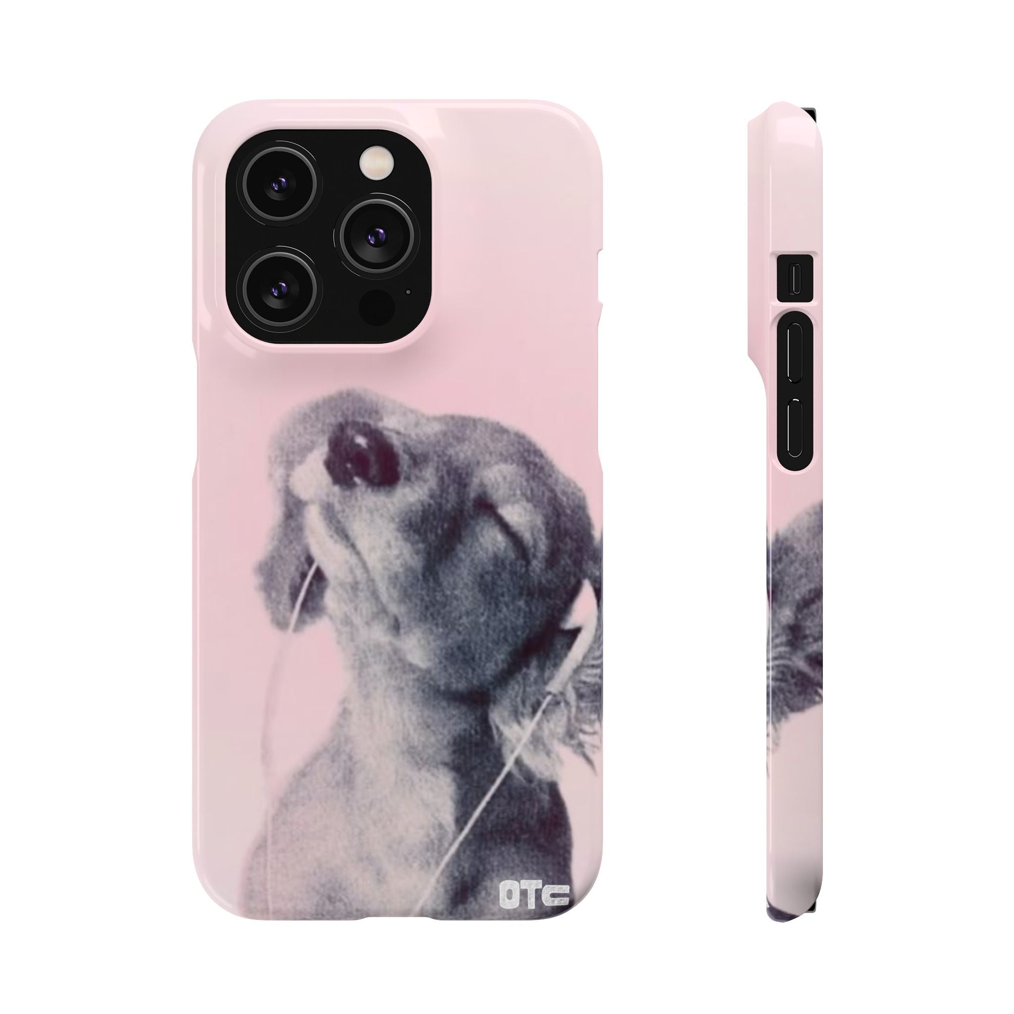 Music Lover Case