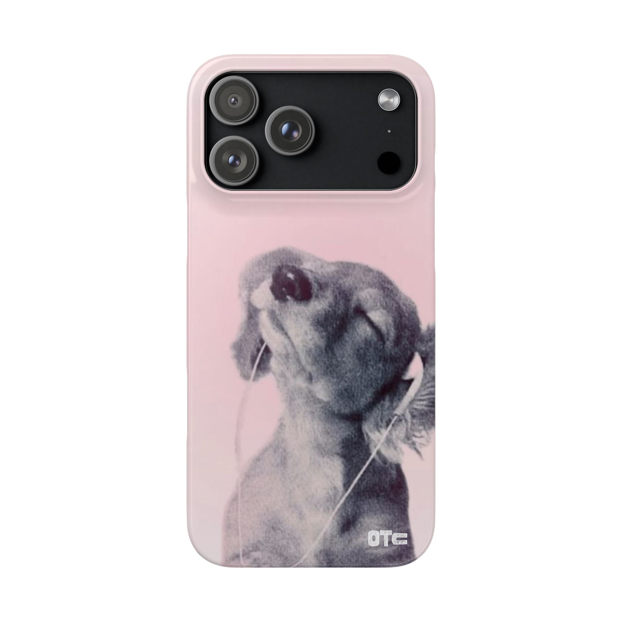 Music Lover Case