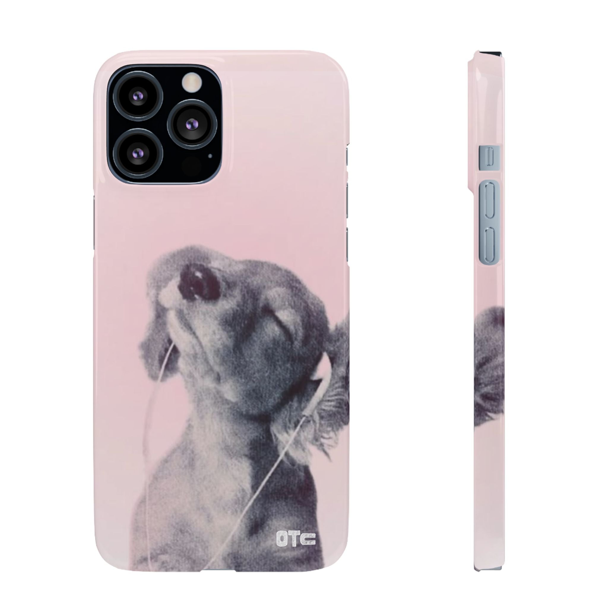 Music Lover Case