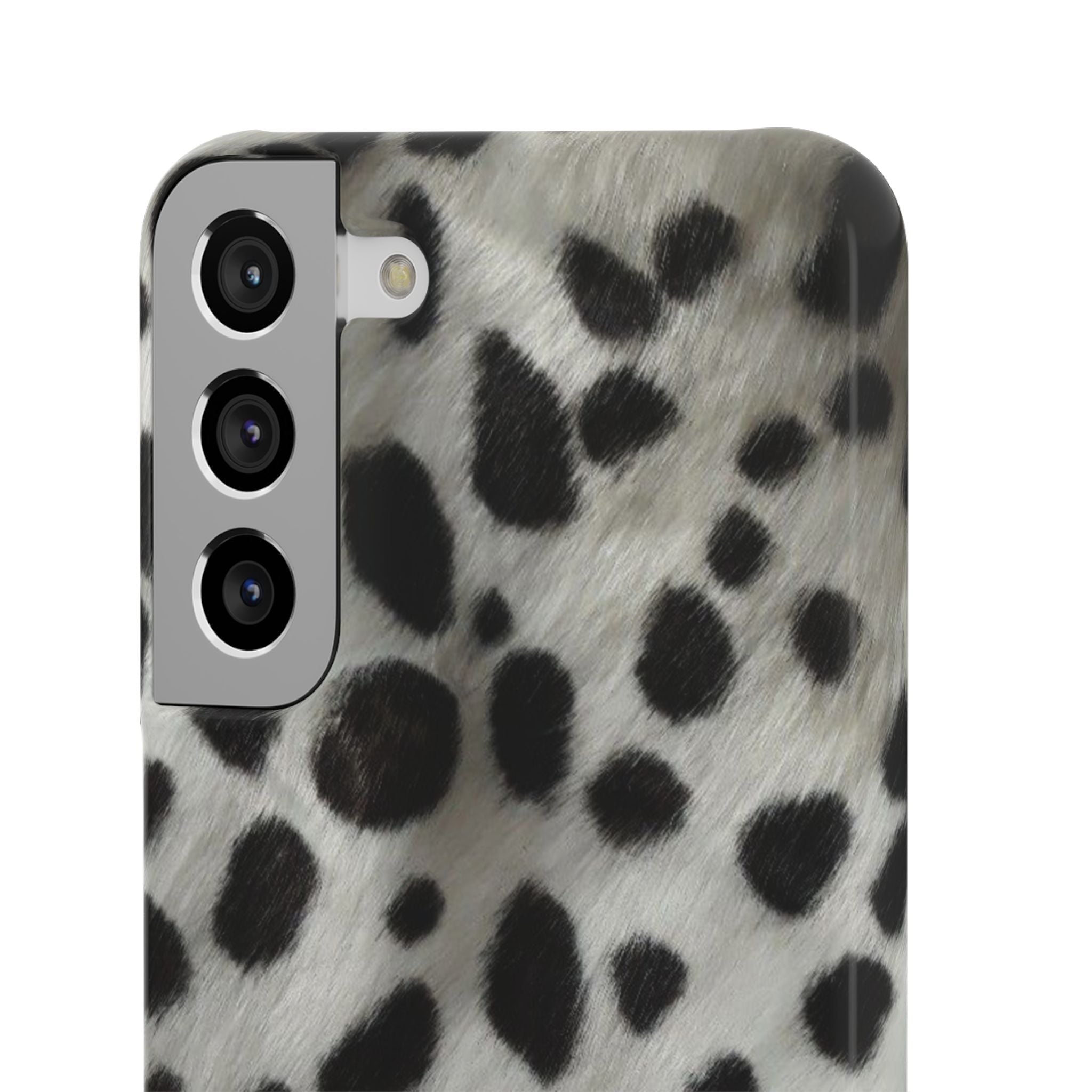 Dalmatian Case