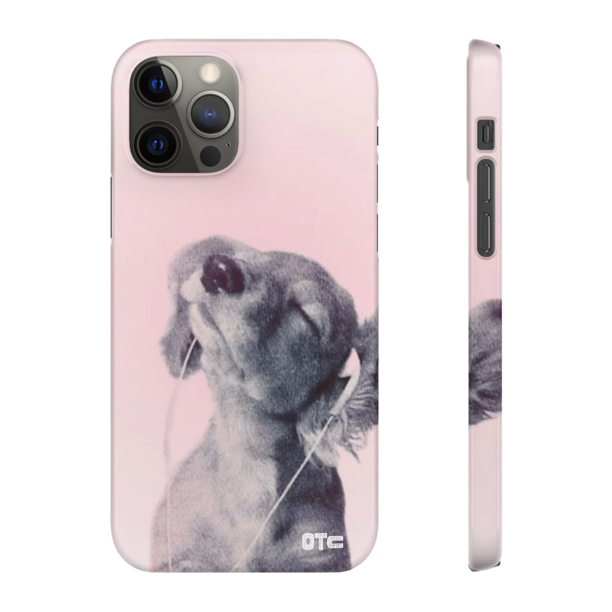 Music Lover Case
