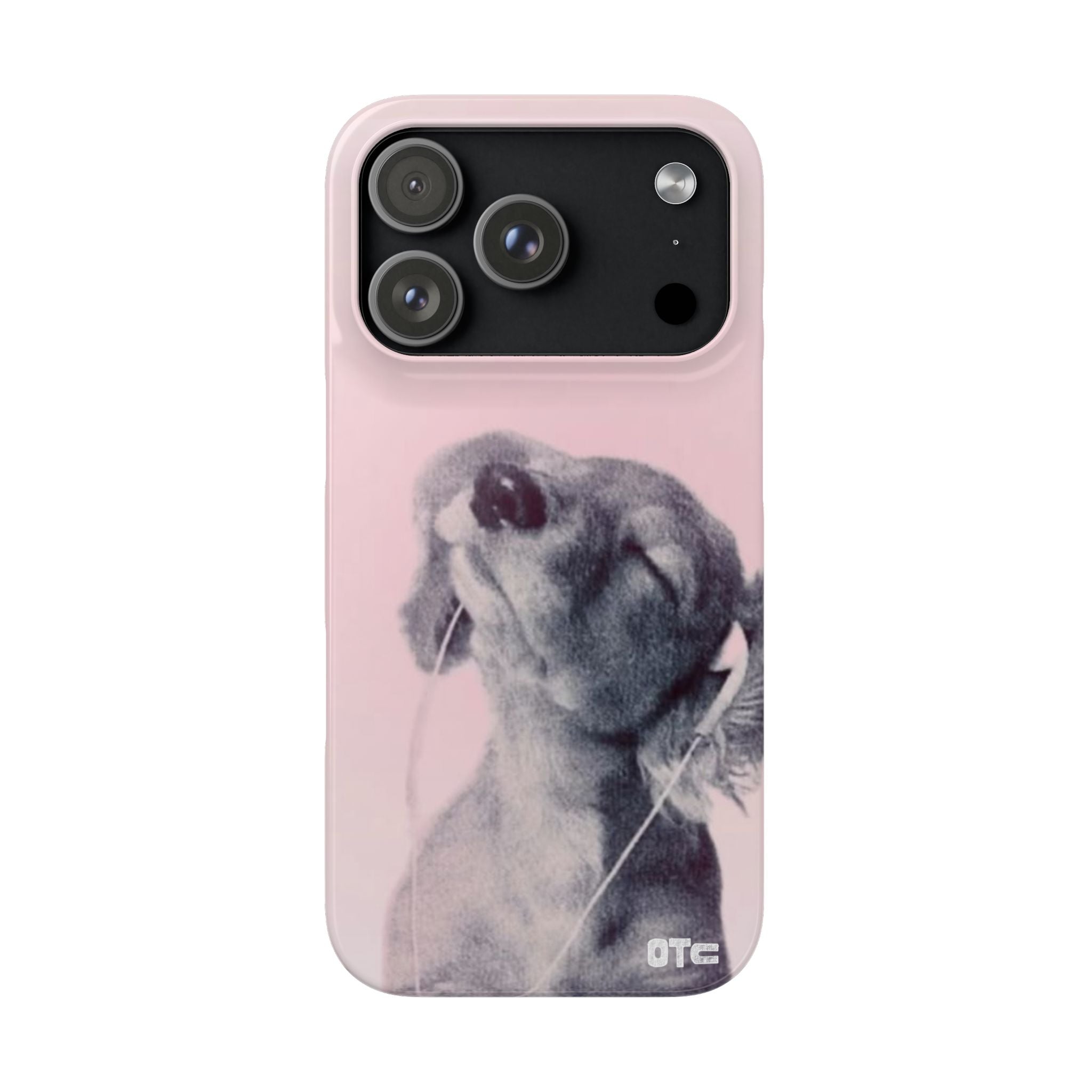 Music Lover Case