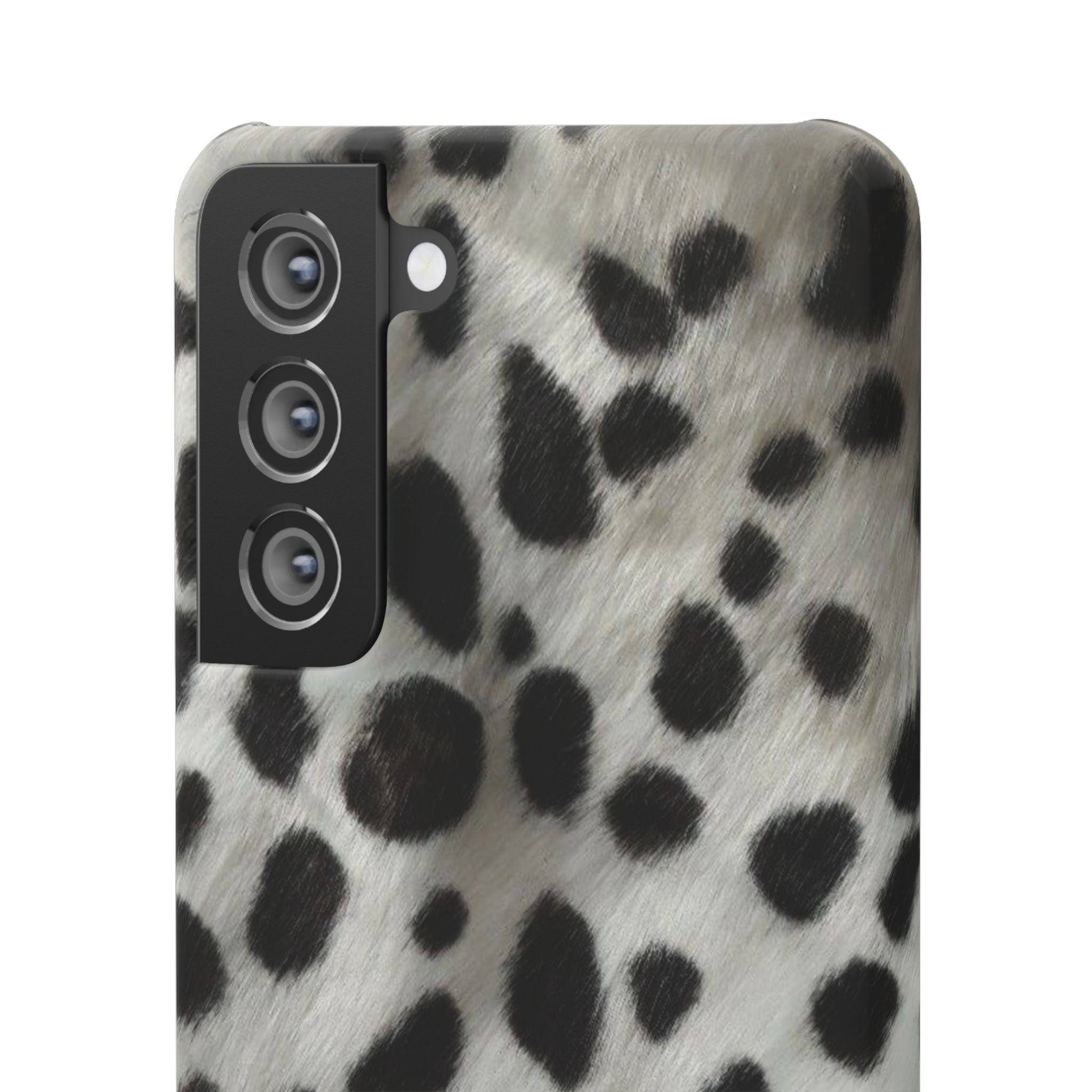 Dalmatian Case