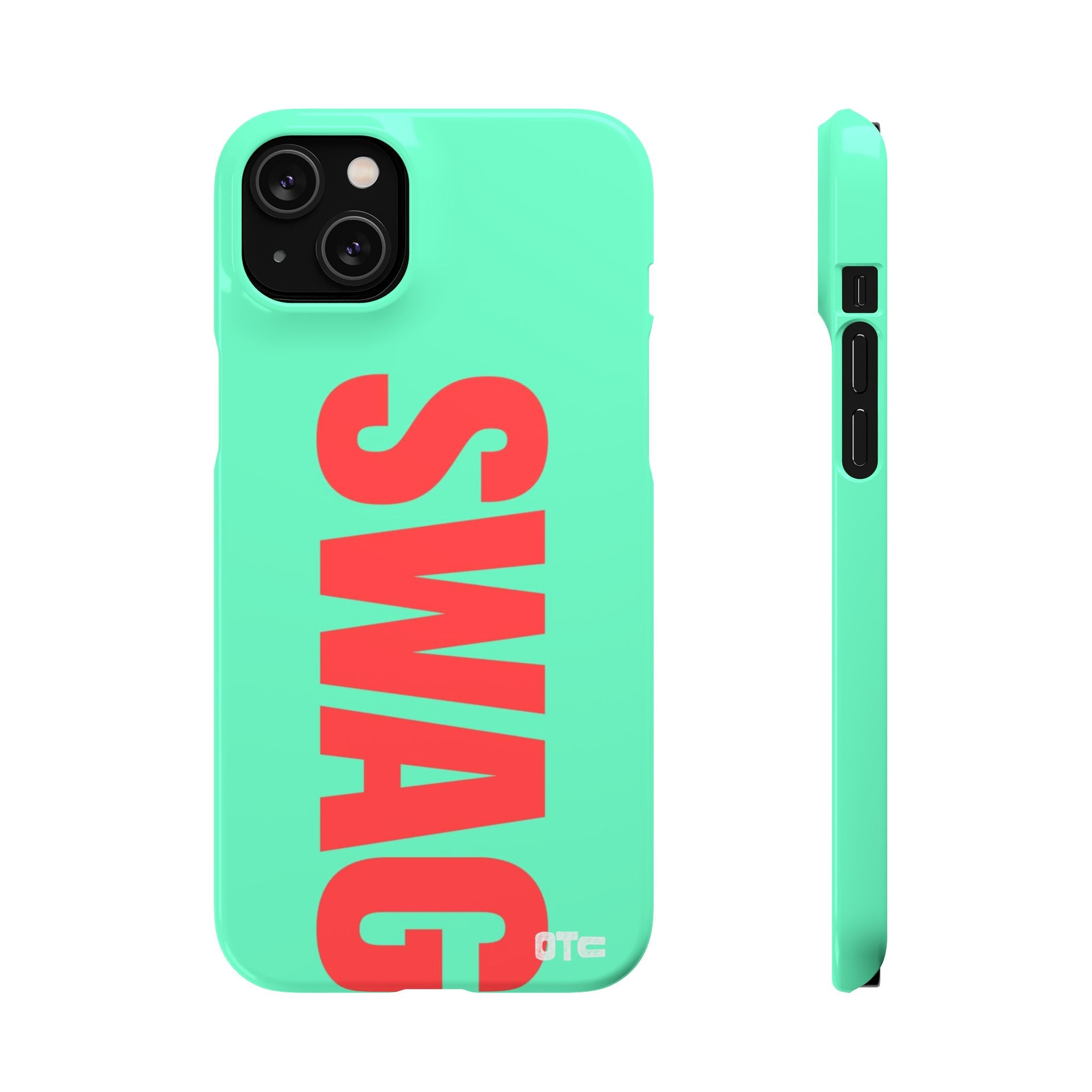Teal Swag Case