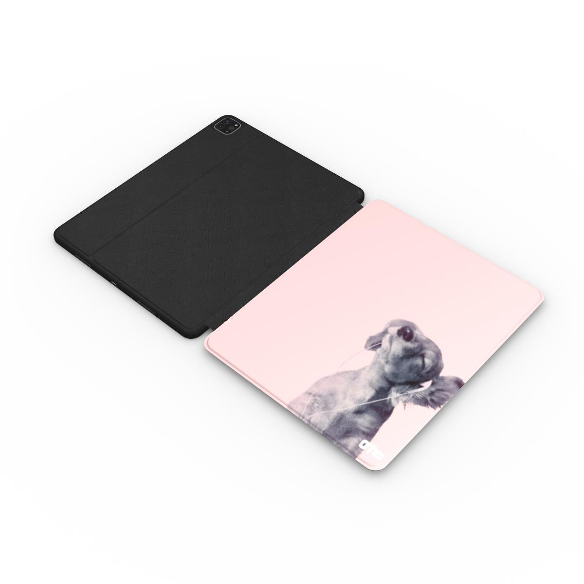Music Lover iPad Case
