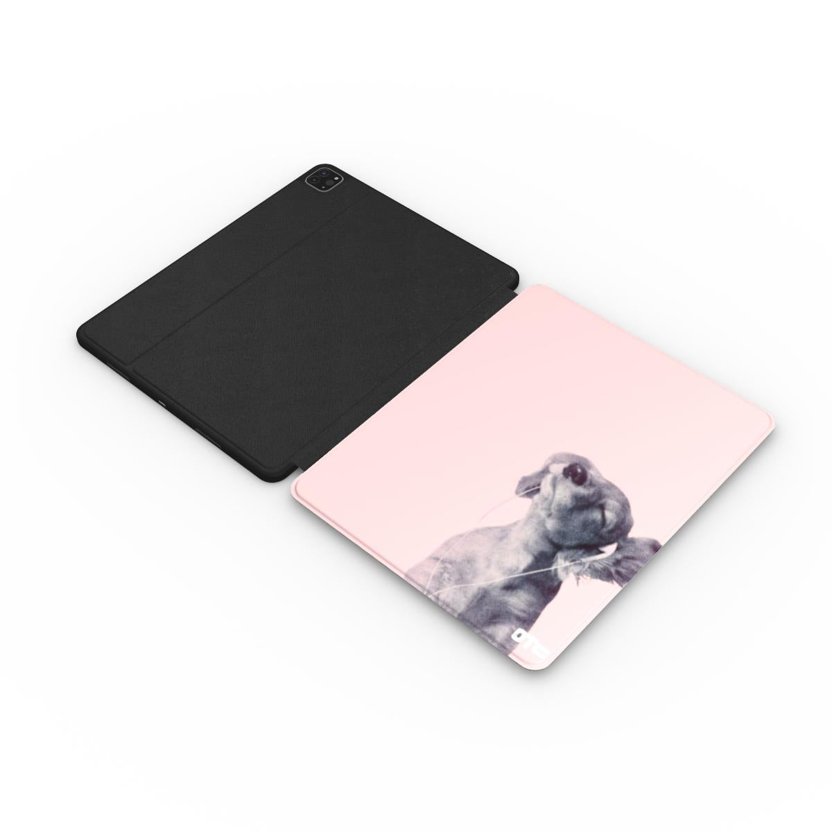 Music Lover iPad Case