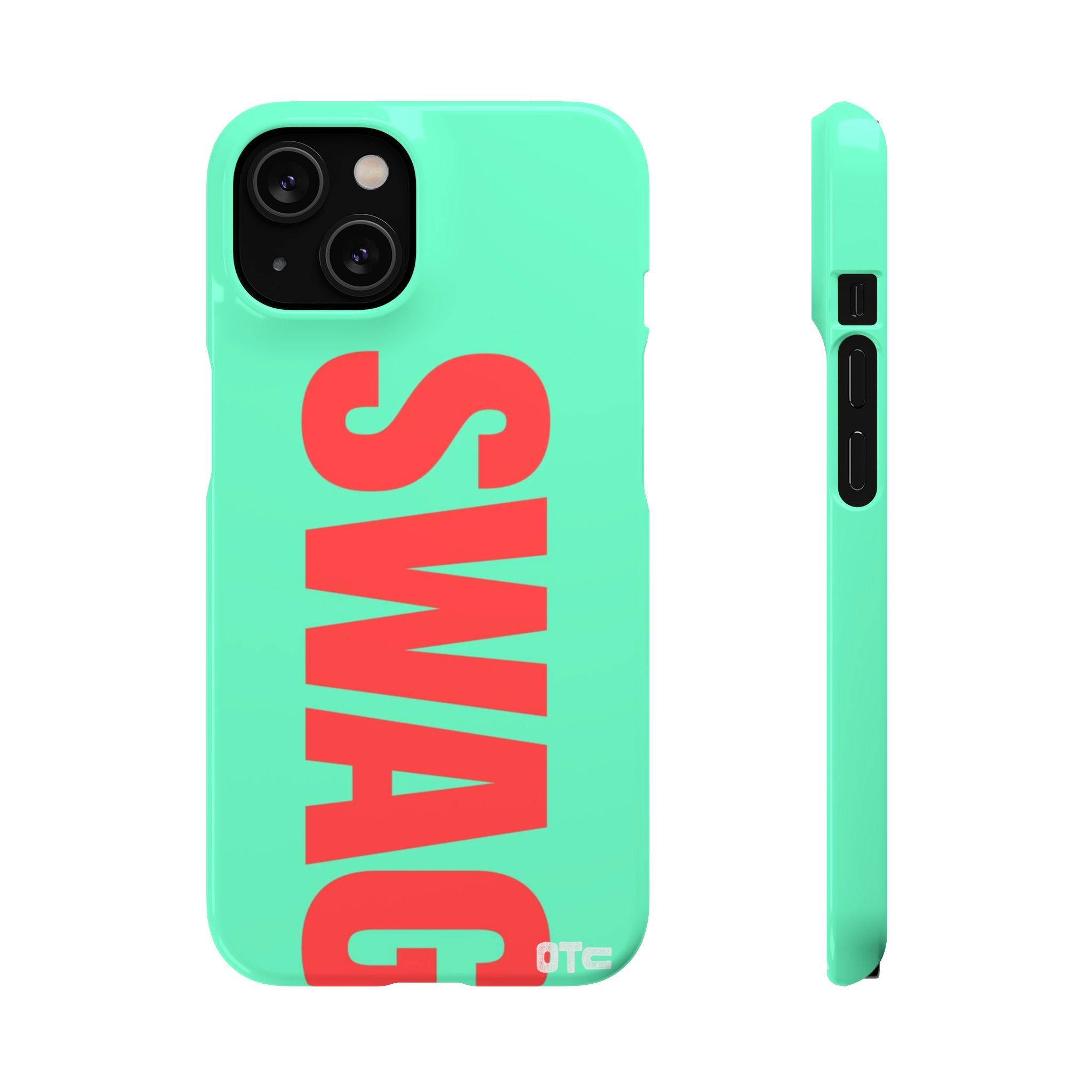 Teal Swag Case
