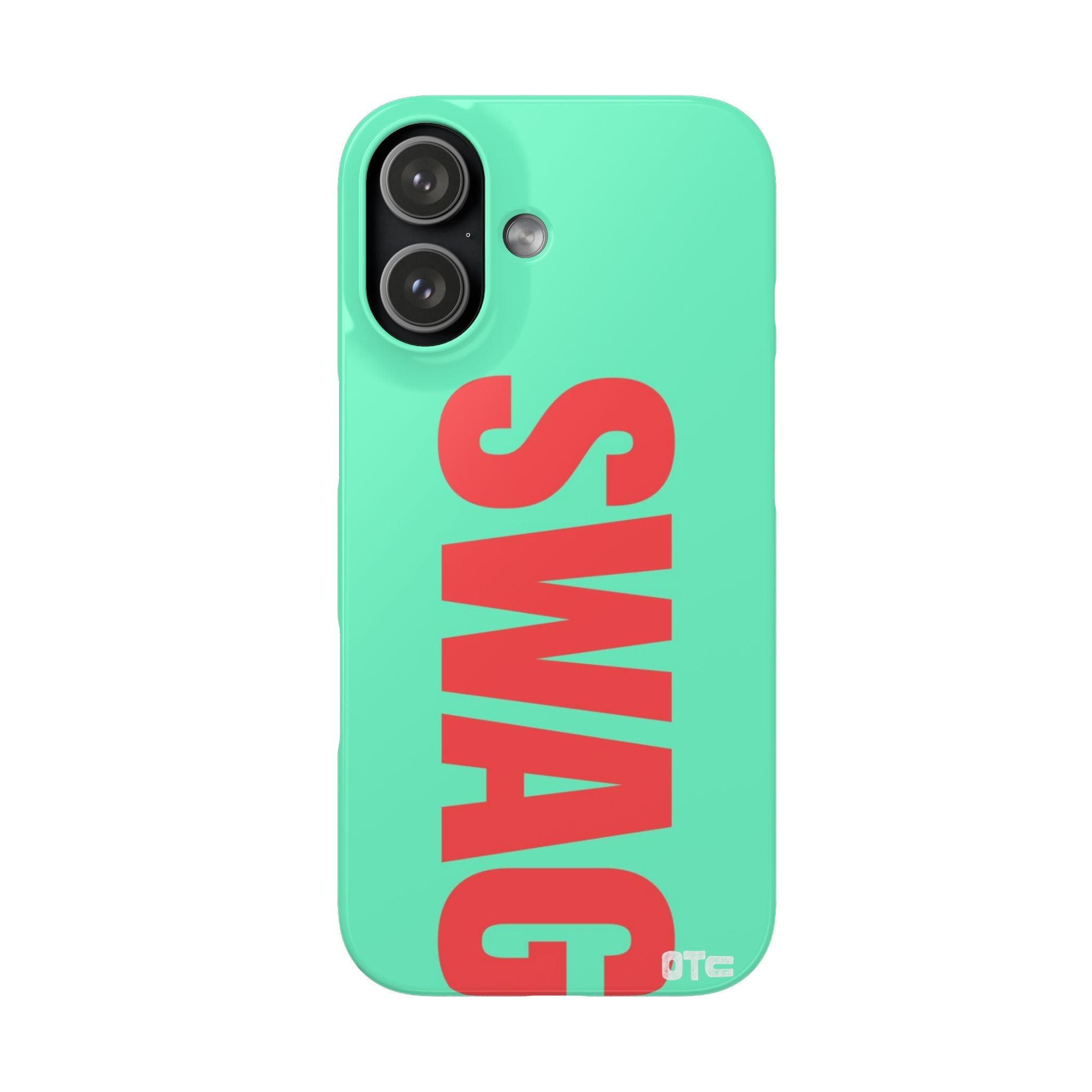 Teal Swag Case