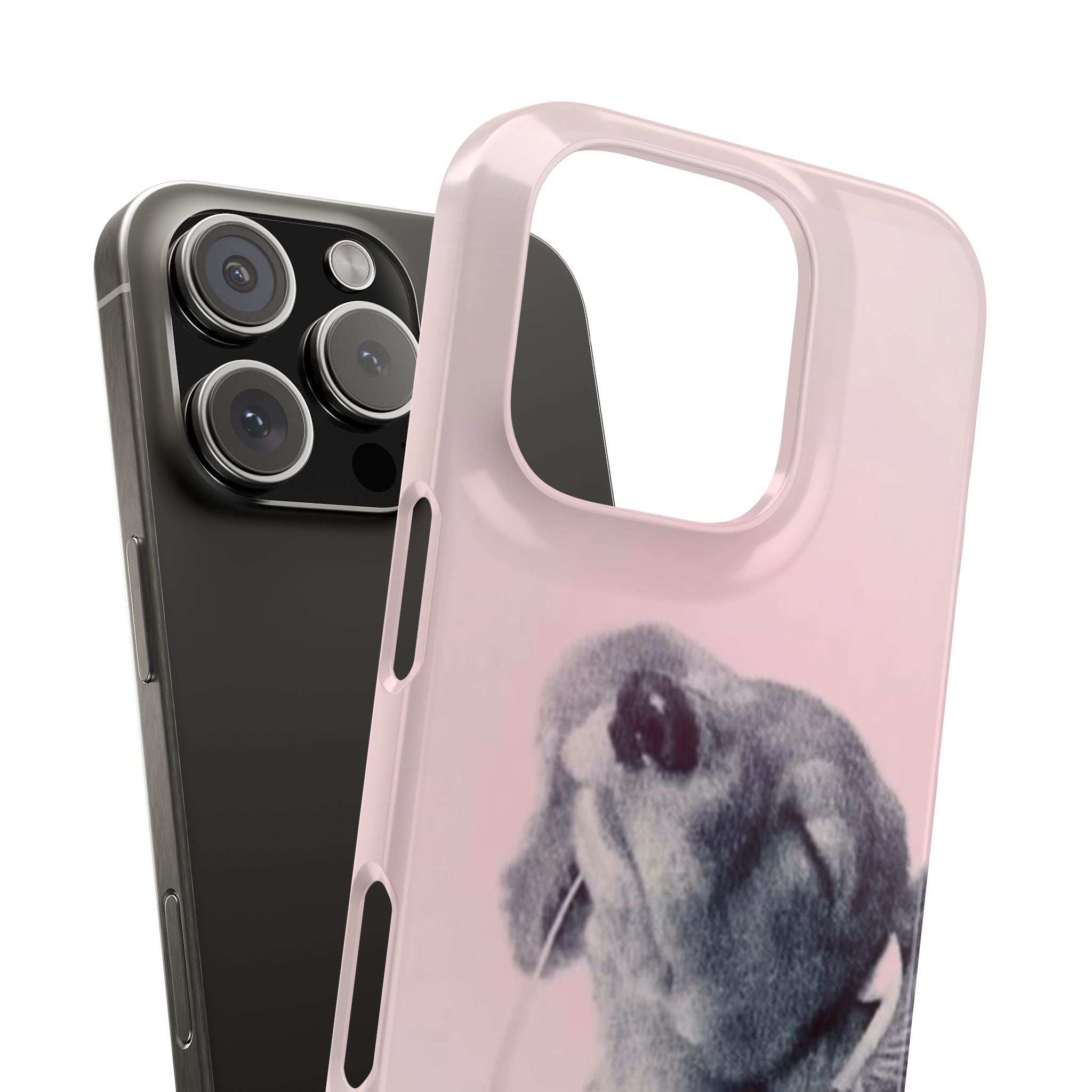 Music Lover Case