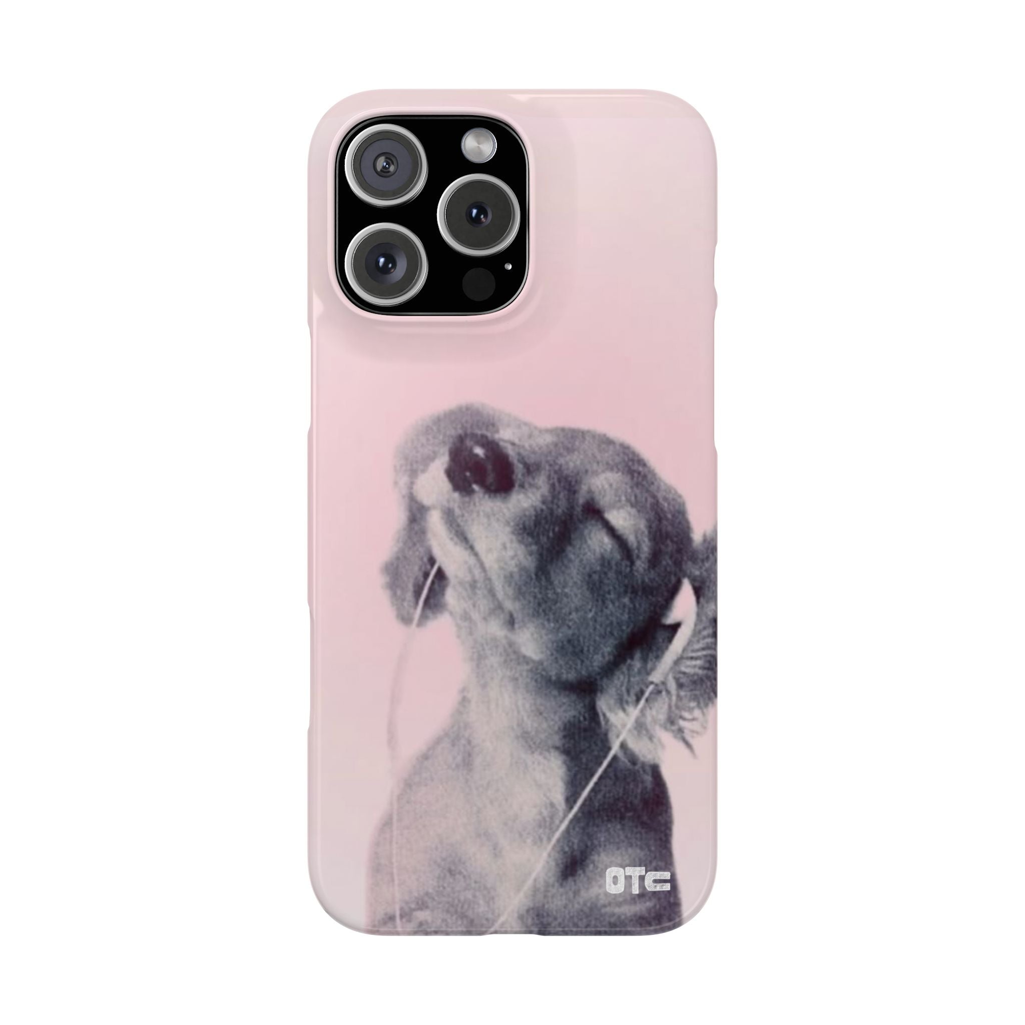 Music Lover Case