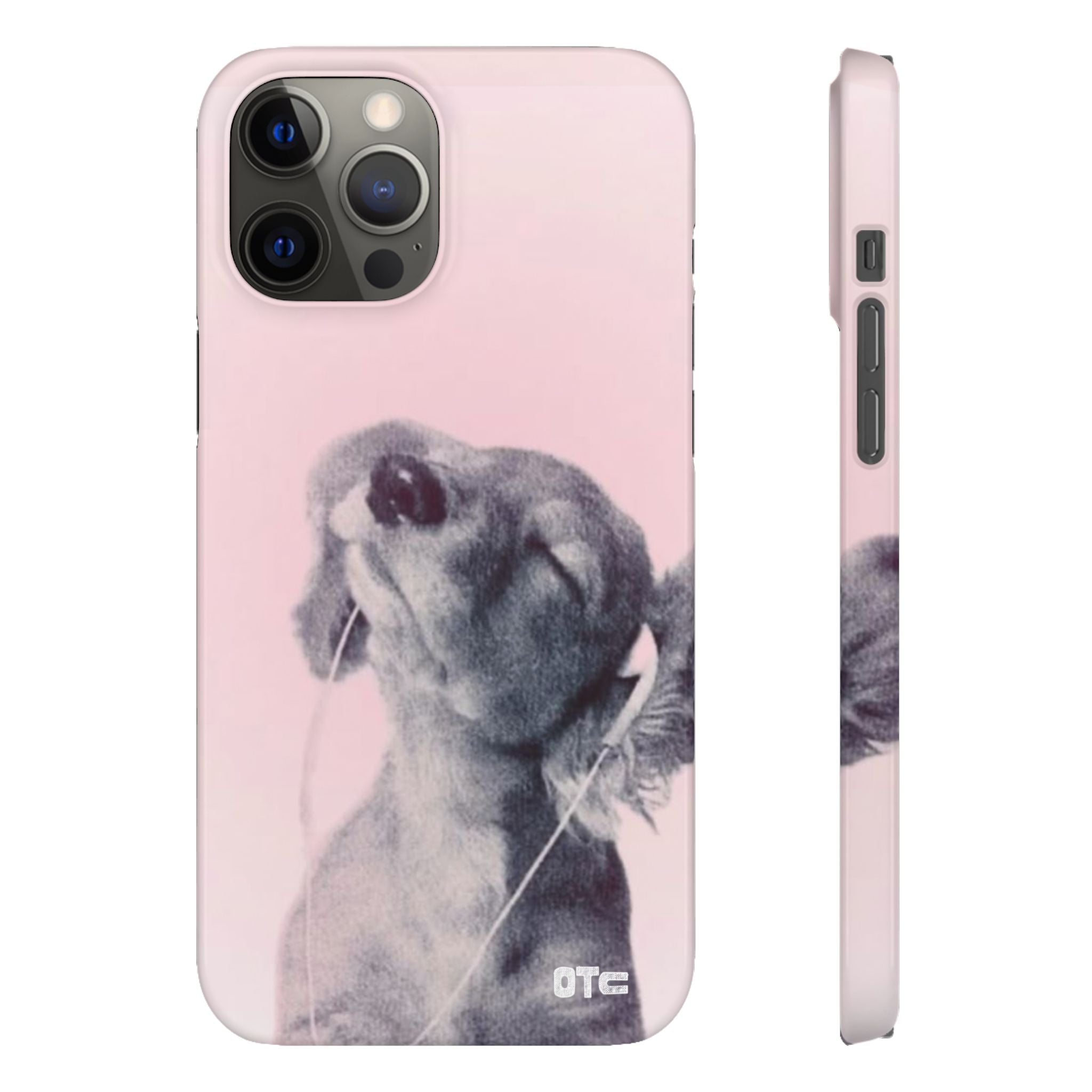 Music Lover Case