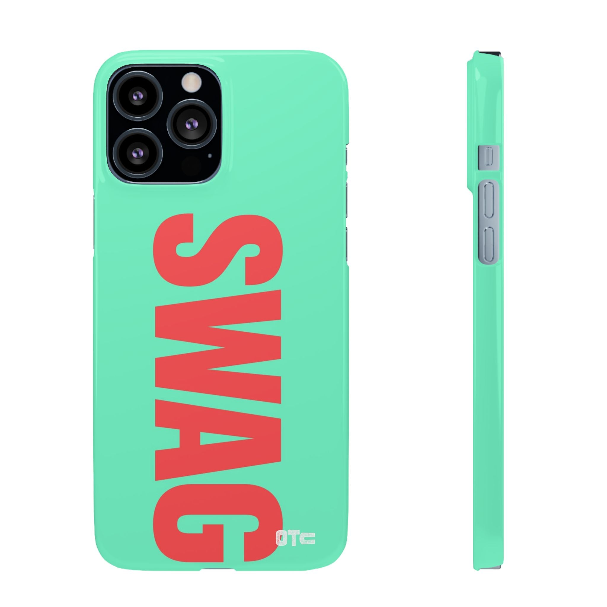Teal Swag Case