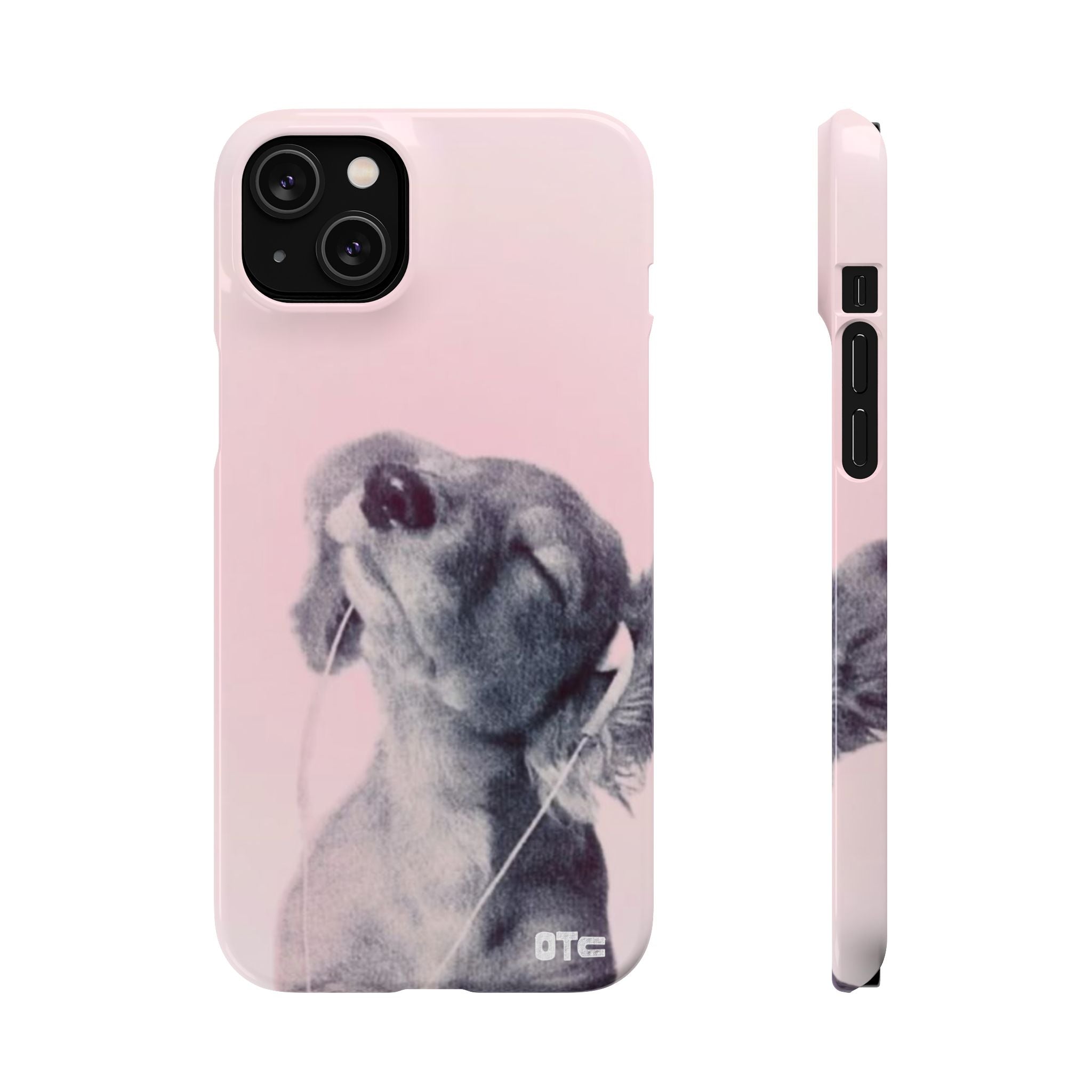 Music Lover Case