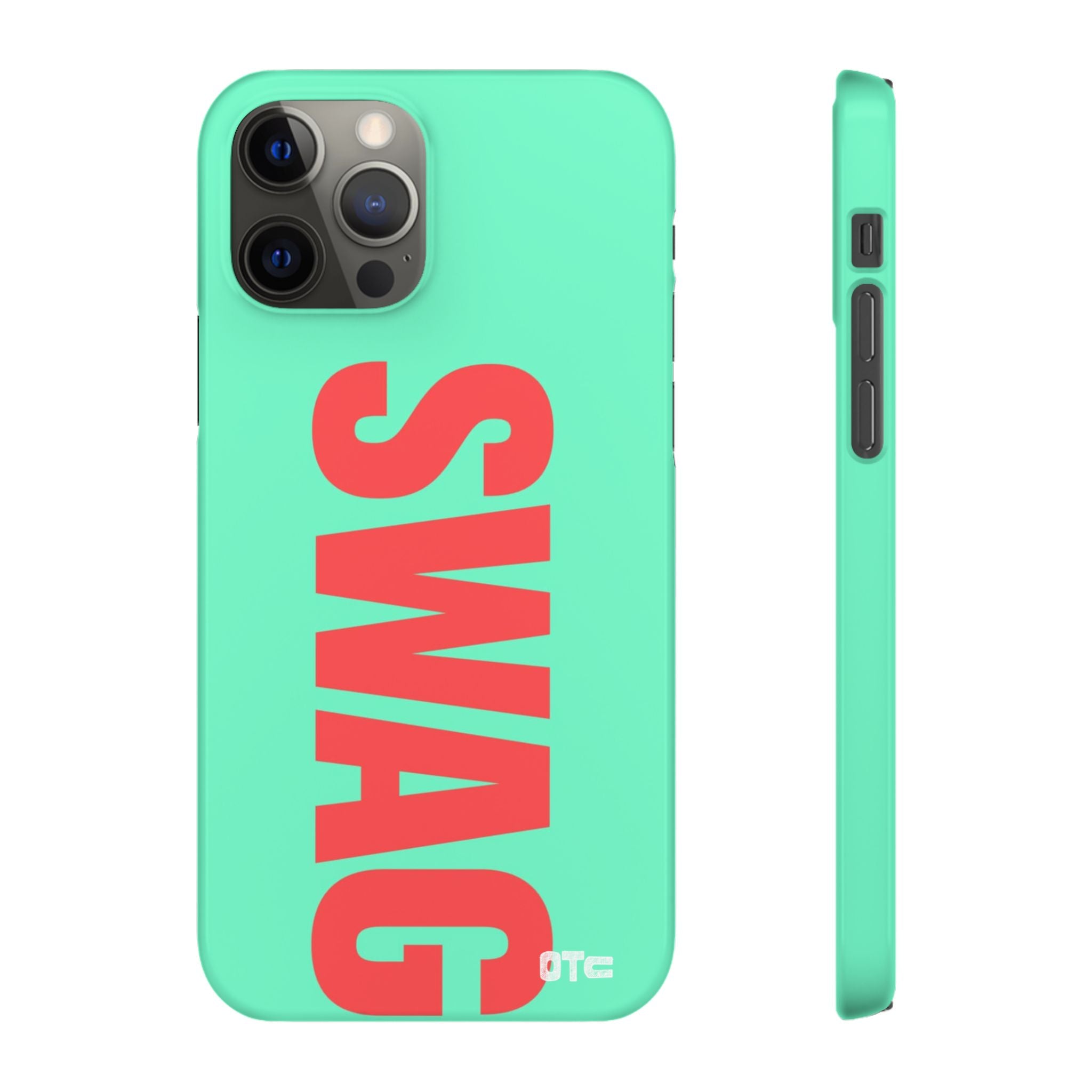 Teal Swag Case