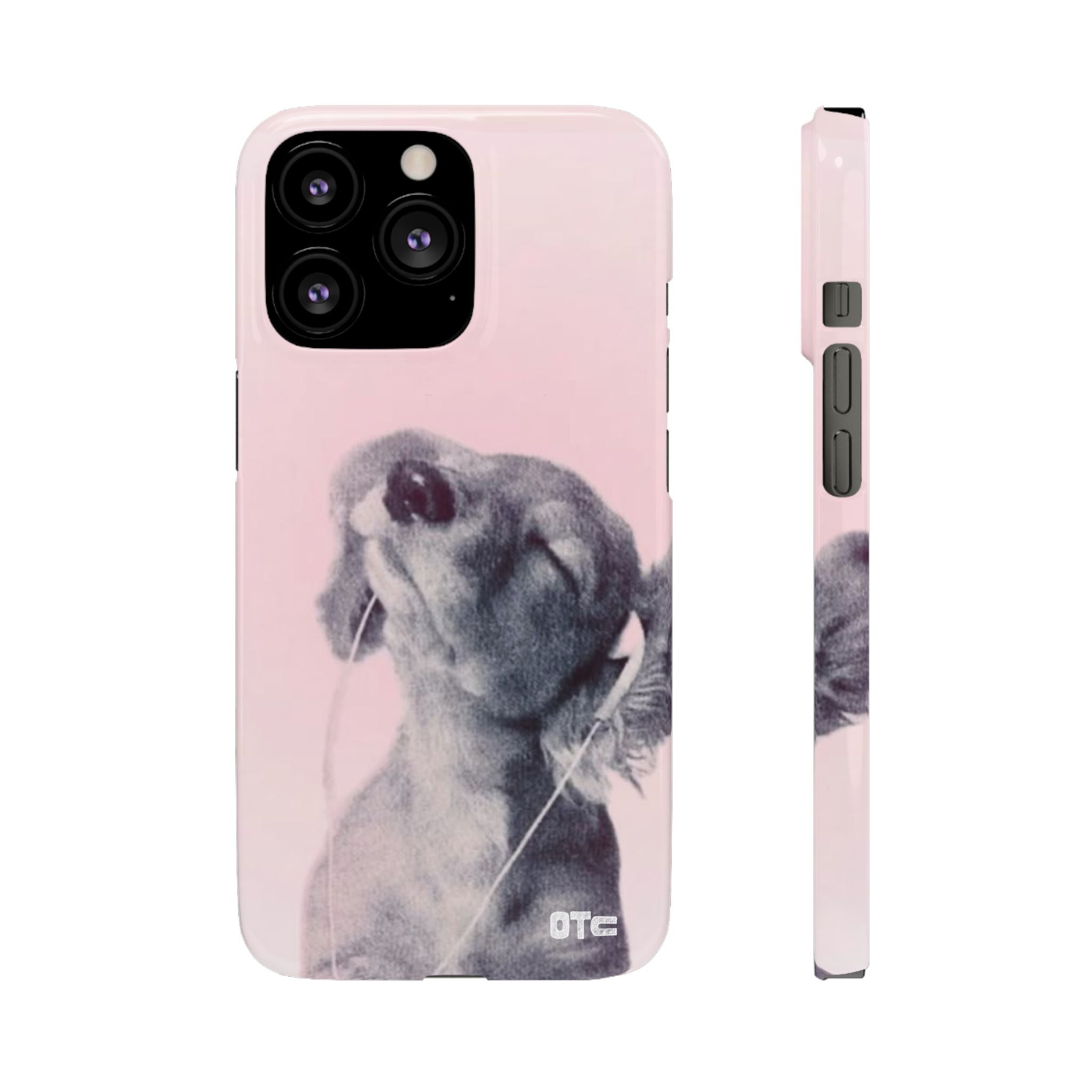 Music Lover Case