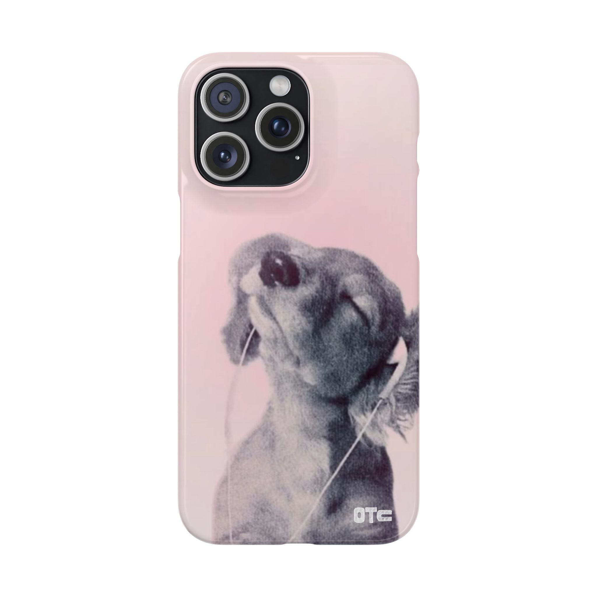 Music Lover Case