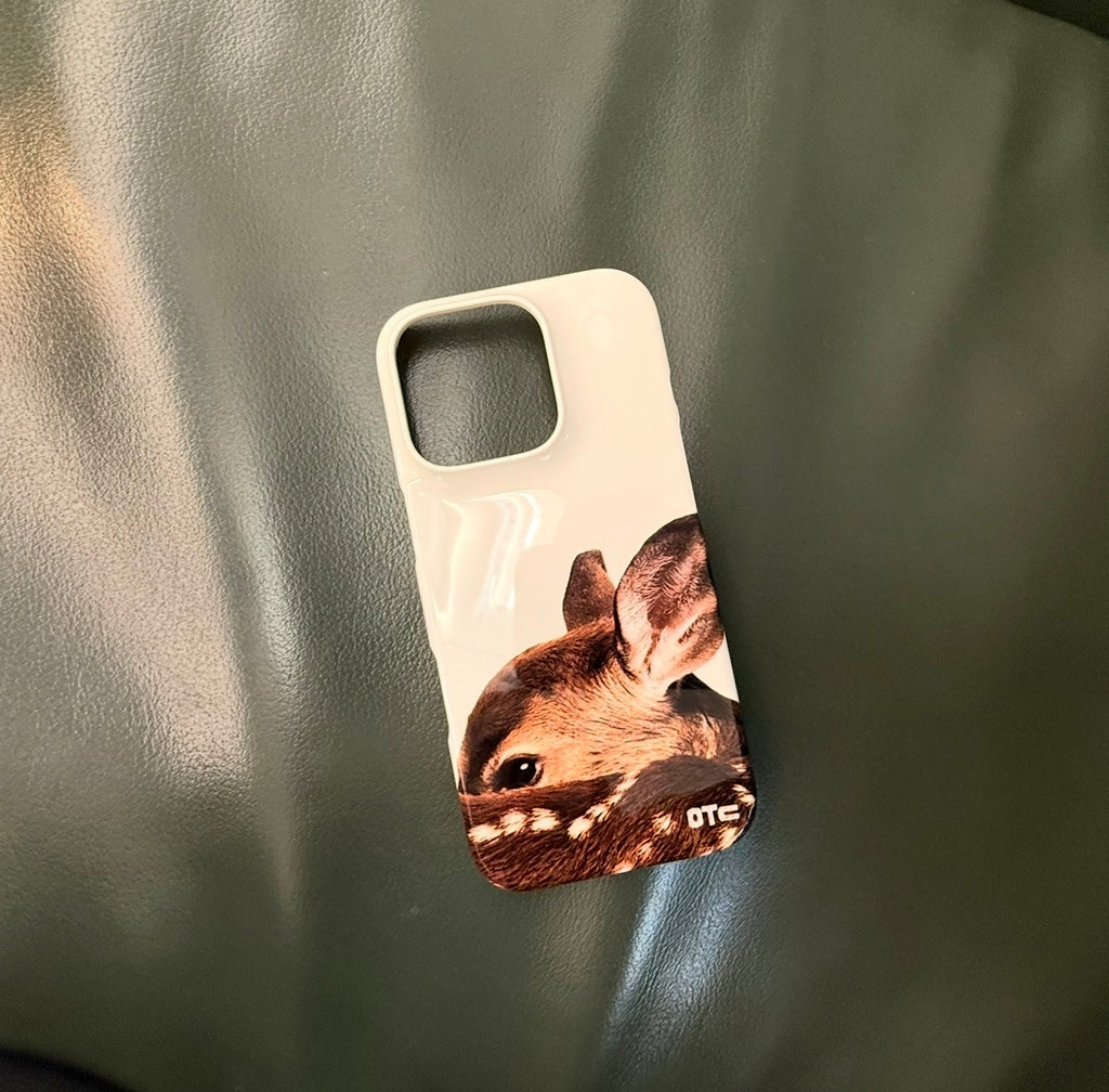 Bambi Case